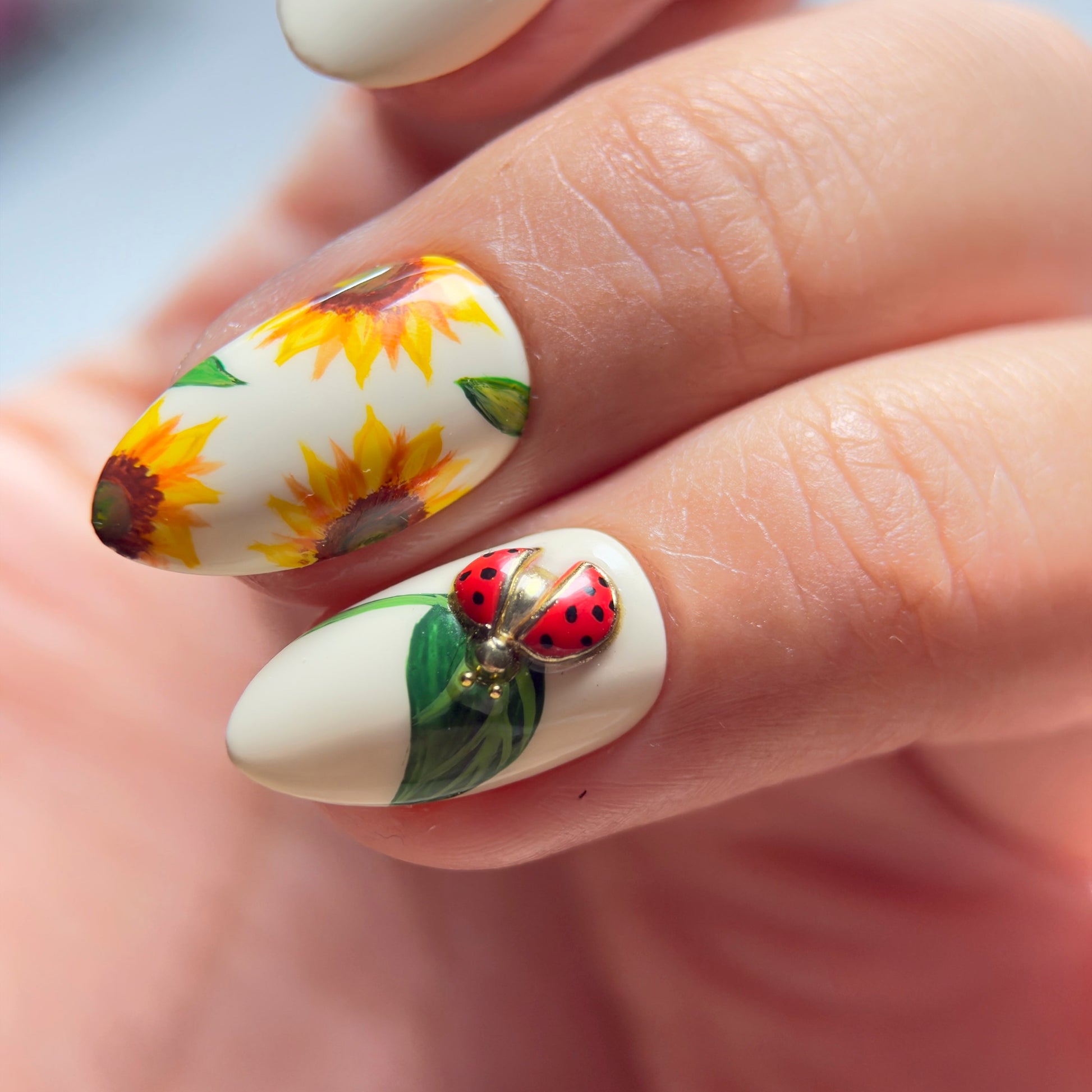 ladybugs-on-sunflowers